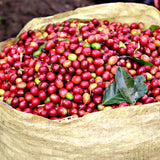 Papua New Guinea - Sigri Natural