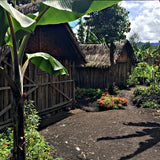 Papua New Guinea - Sigri Natural
