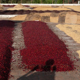 El Salvador - Santa Matilde