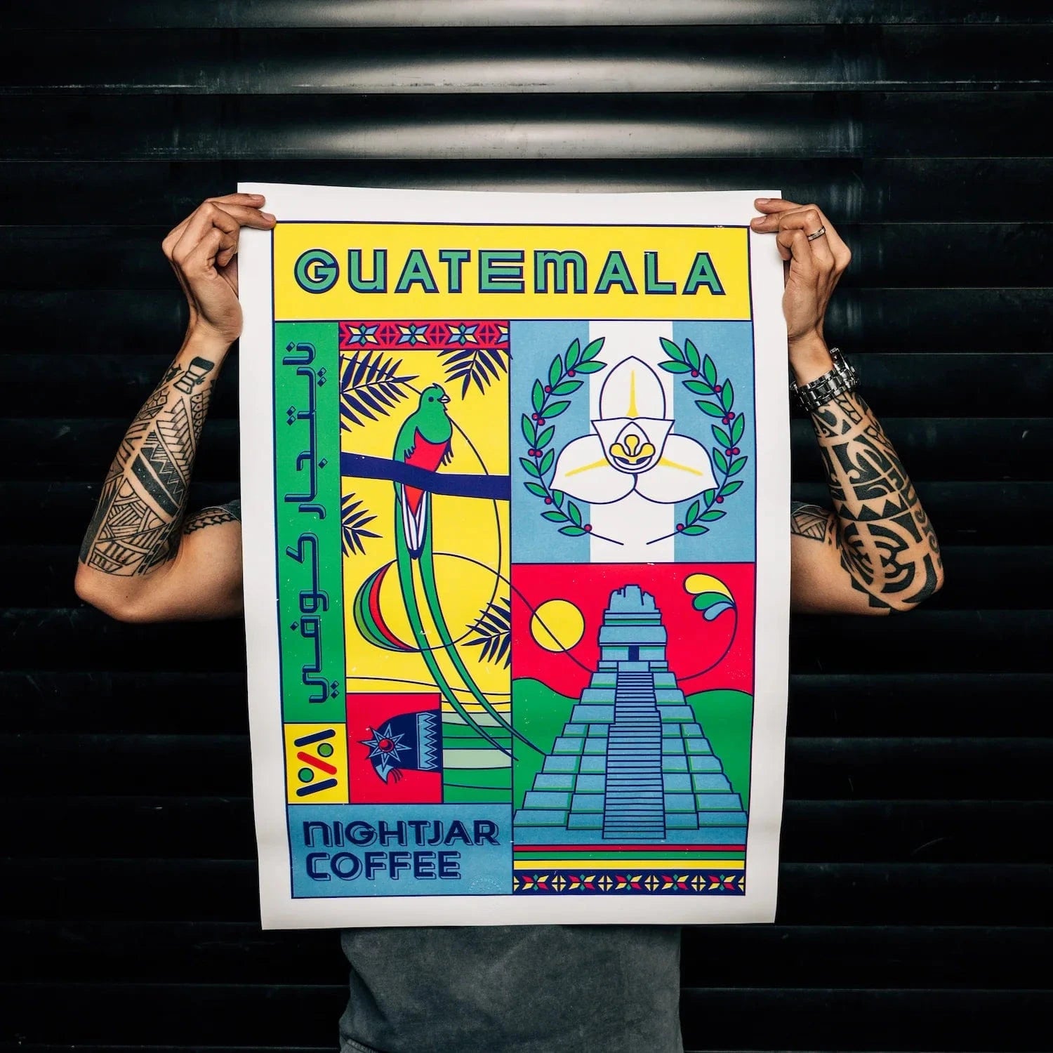Origin Series Poster | Guatemala - Nightjar Coffee Roasters