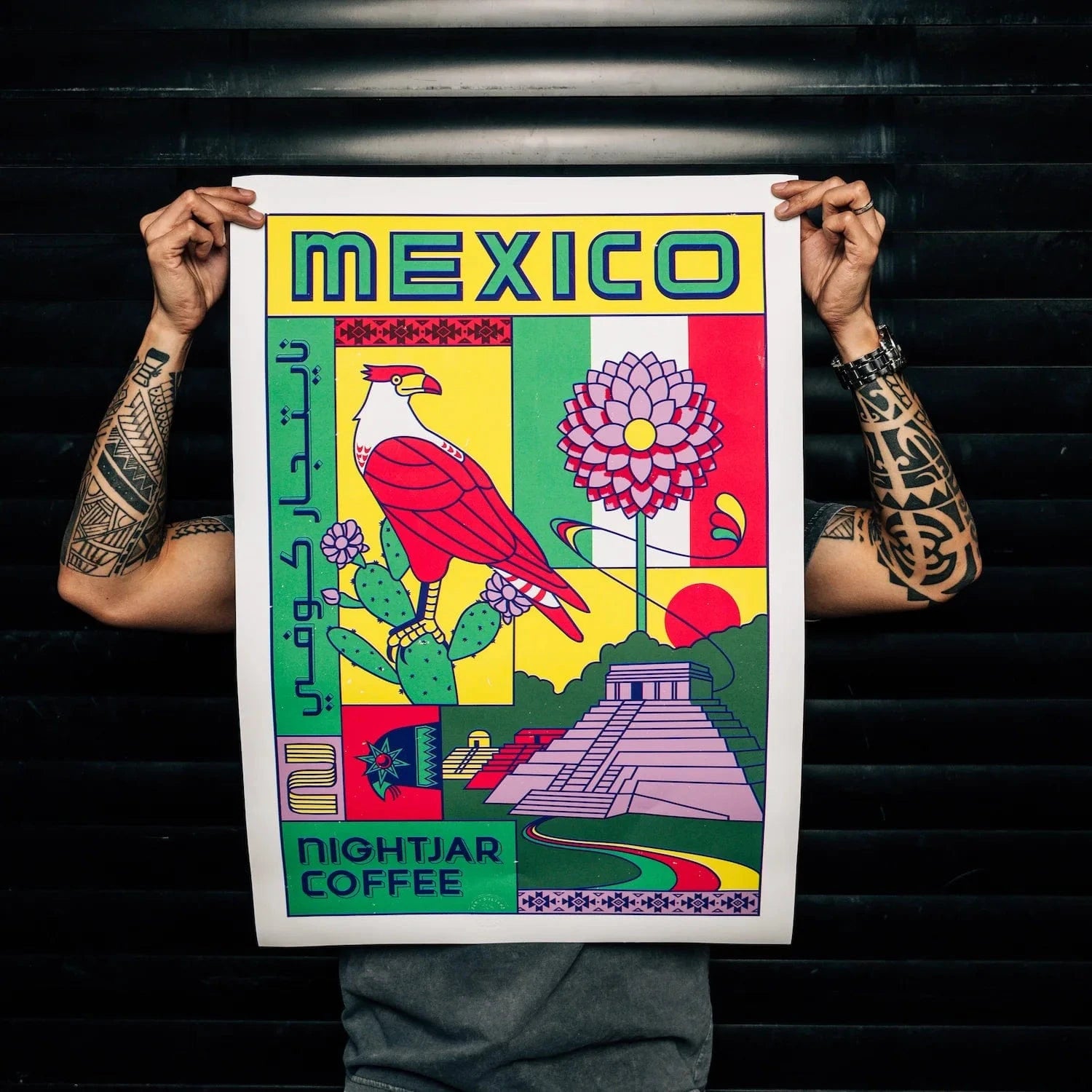 Origin Series Poster | Mexico - Nightjar Coffee Roasters